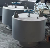 mushroom heads.jpg mushroom heads.jpg